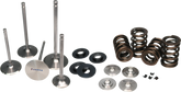 Ferrea 90lbs Beehive Valve Springs & Ti Retainers K Series